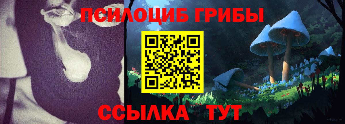 Благодарный  Псилоцибиновые грибы ЛСД  Вход с VPN 